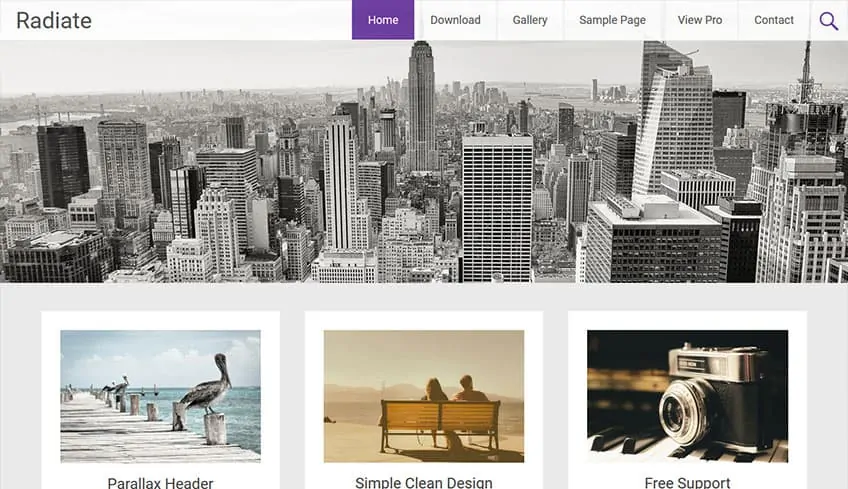 Radiate Бесплатная тема WordPress