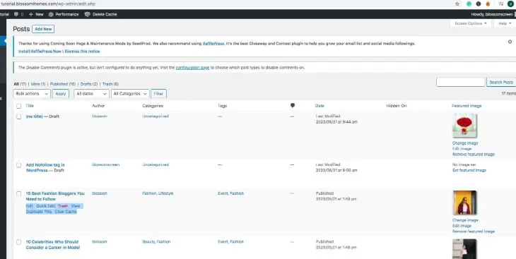 Página duplicada en WordPress