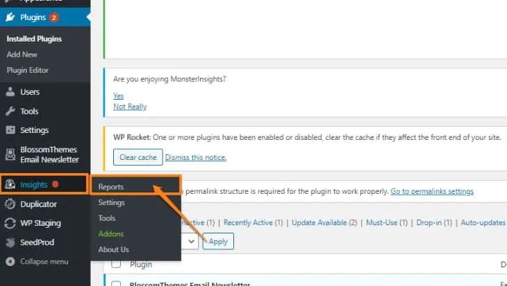 rapporti di MonsterInsights