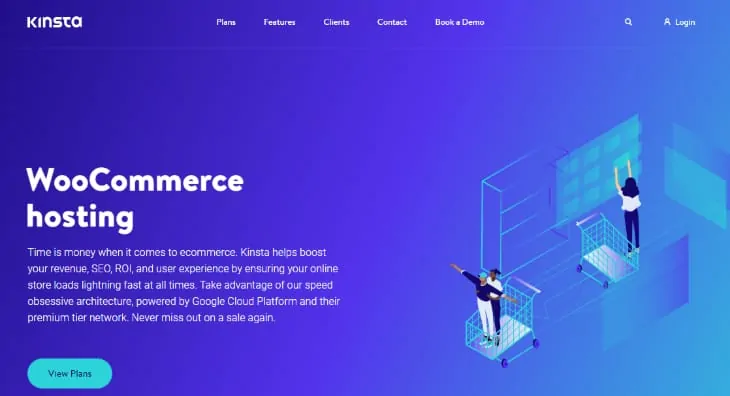 Kinsta Hosting
