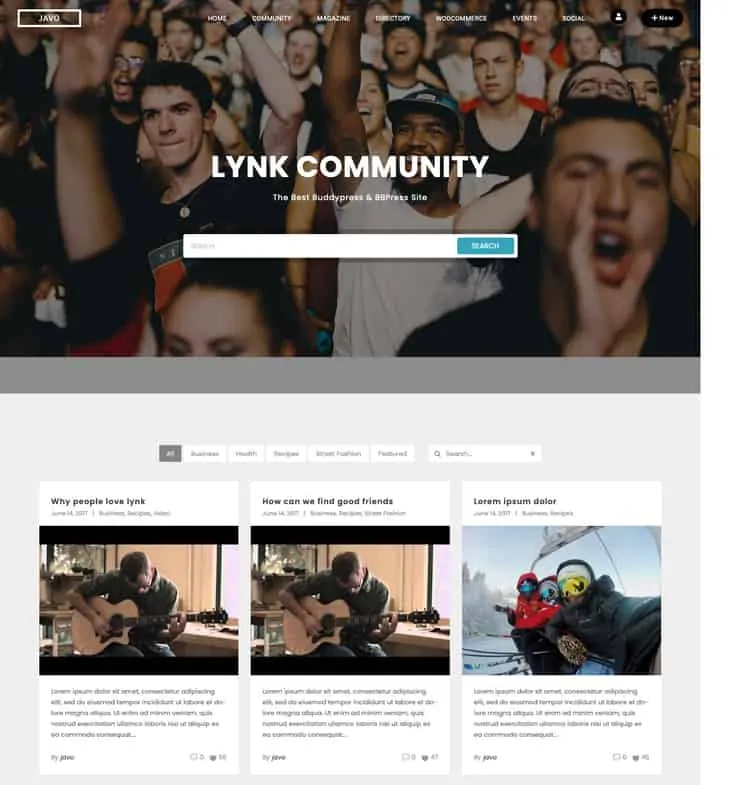 Tema del forum di Lynk V2 WordPress
