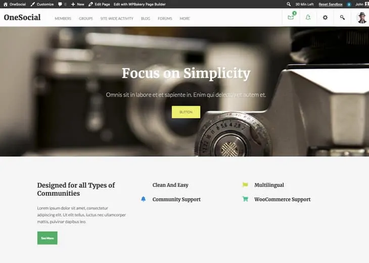 Tema del forum di OneSocial WordPress