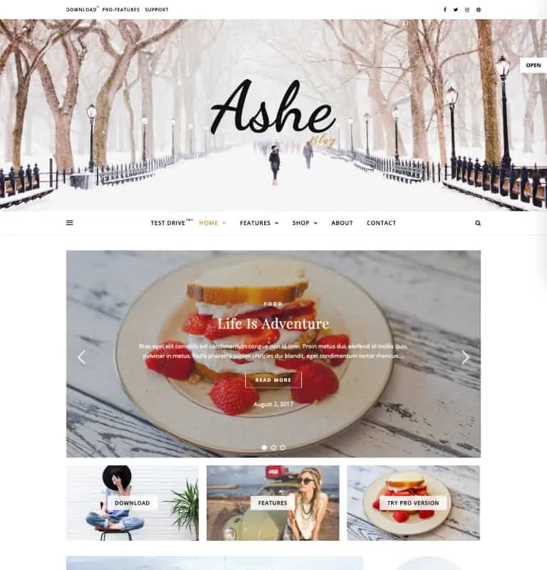 Ashe FreeWordPressテーマ