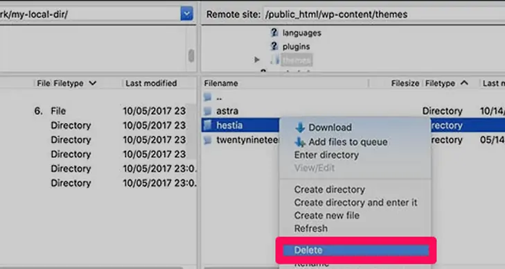 exclua o tema usando FTP