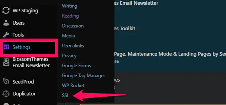 Vá para a opção SSL nas configurações