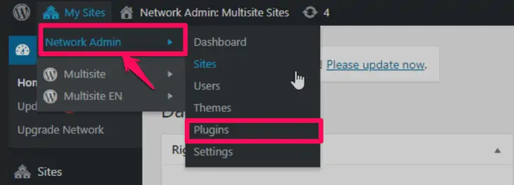 menambahkan plugin baru ke jaringan multisite