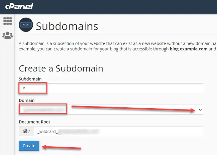 buat subdomain wildcard