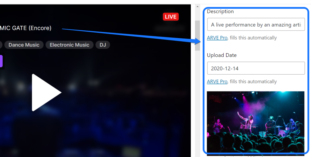 Inserindo a descrição do vídeo, data de upload, miniatura e outros detalhes no editor de páginas do WordPress