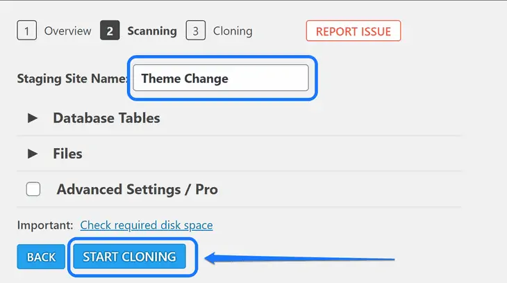 Inserindo o nome do site de teste e apontando para o botão Iniciar clonagem no WordPress