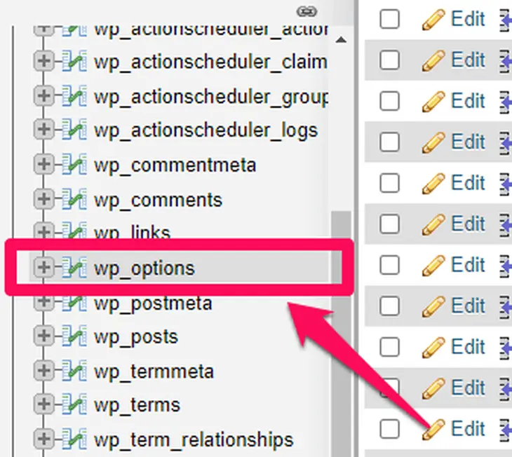 Opções do WP - Phpmyadmin
