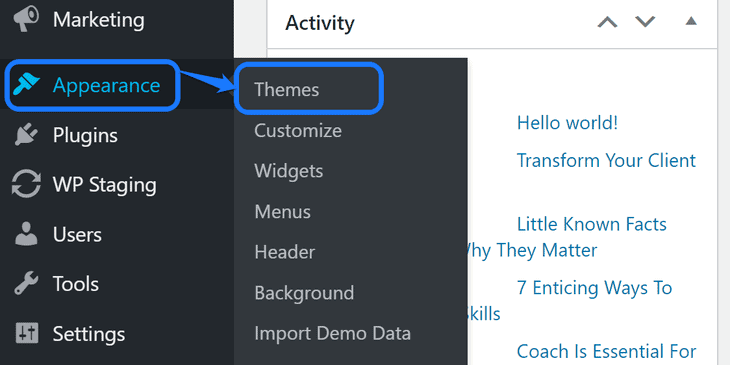 Apontando para o botão Temas no menu suspenso da opção Aparência na barra lateral do WordPress
