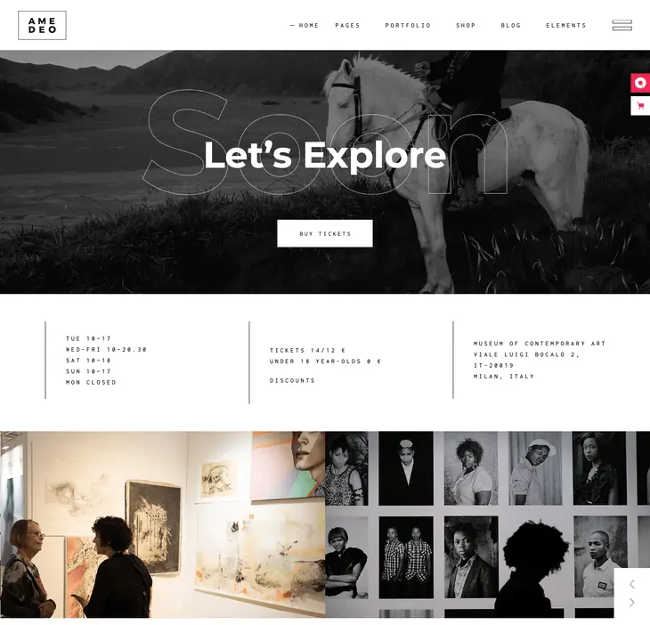 Tema WordPress de Currículo Amedeo