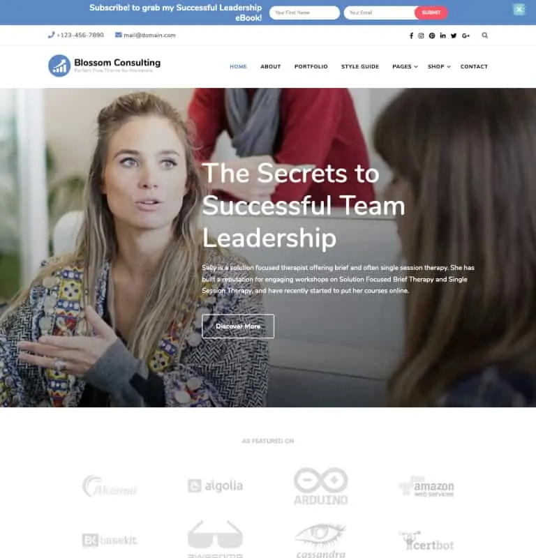 Blossom Consulting ธีม WordPress ฟรี