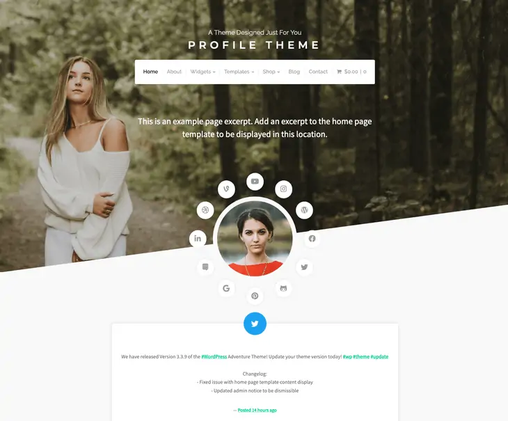 Profile Lite WordPress Theme