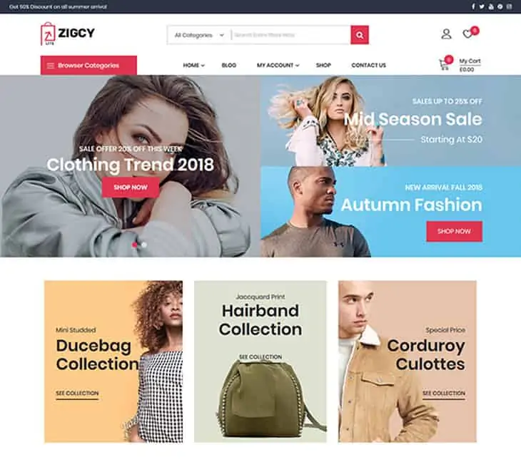 Tema WordPress Zigcy lite