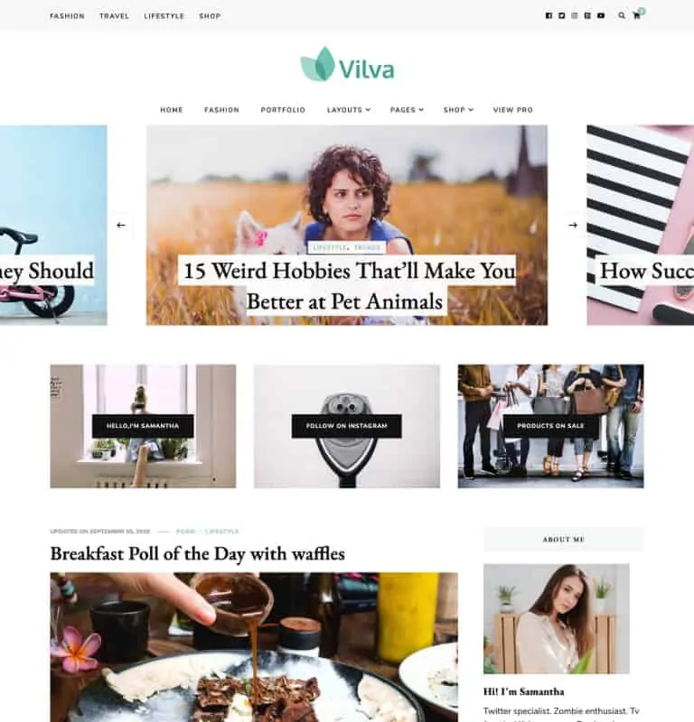 Tema WordPress Tema Viva