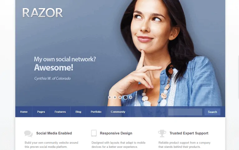 มีดโกน BuddyPress WordPress theme