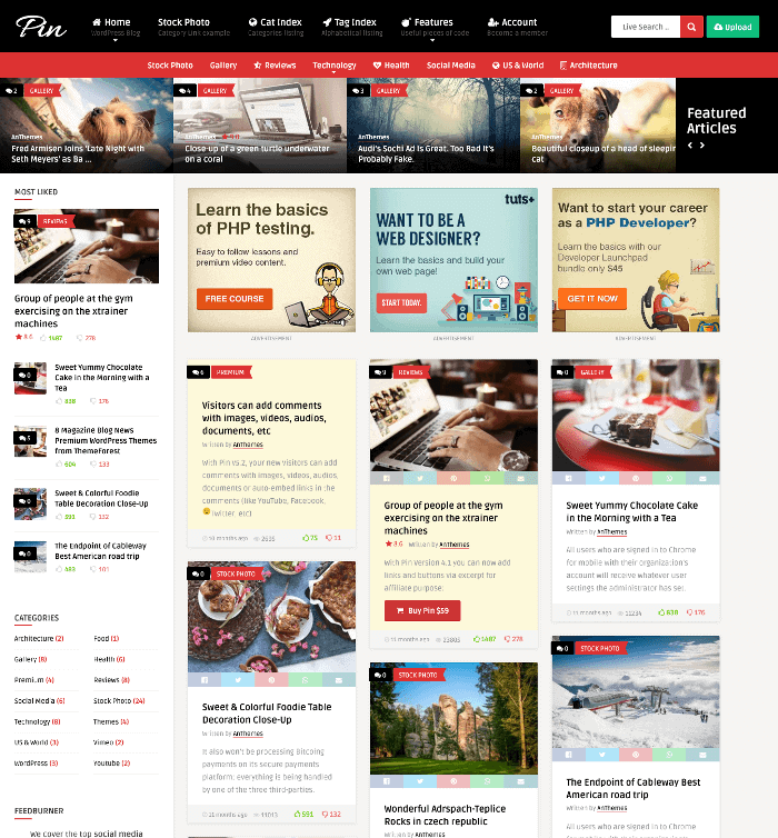Pin-WordPress-Theme