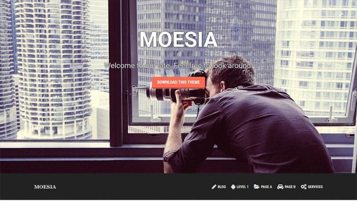 Moesia Kostenloses WordPress-Theme