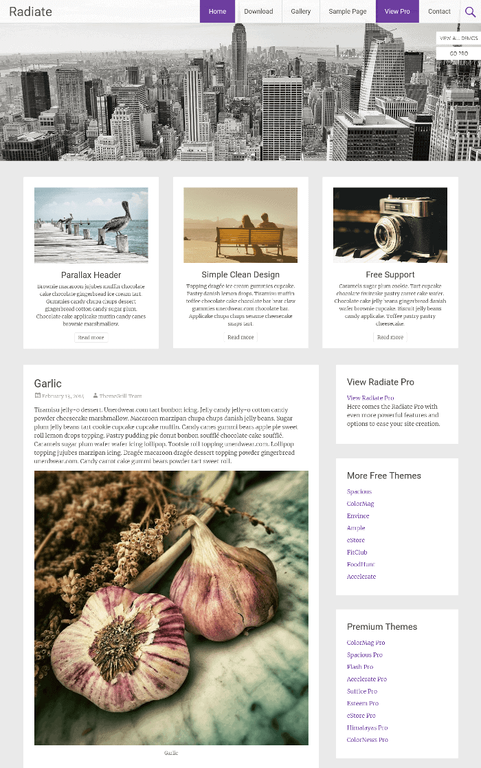 Strahlen Sie das WordPress-Theme aus