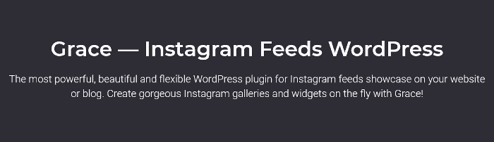 ปลั๊กอิน Grace WordPress