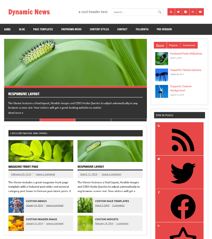 Dynamisches News Lite-WordPress-Thema