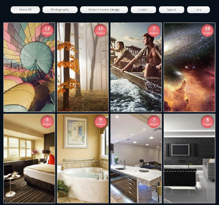 Easy Media Gallery-Plugin