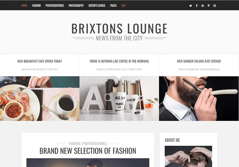 Brixton WordPress-Blog-Theme