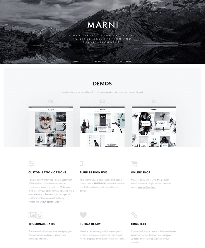 Marni Landing  WordPress Theme
