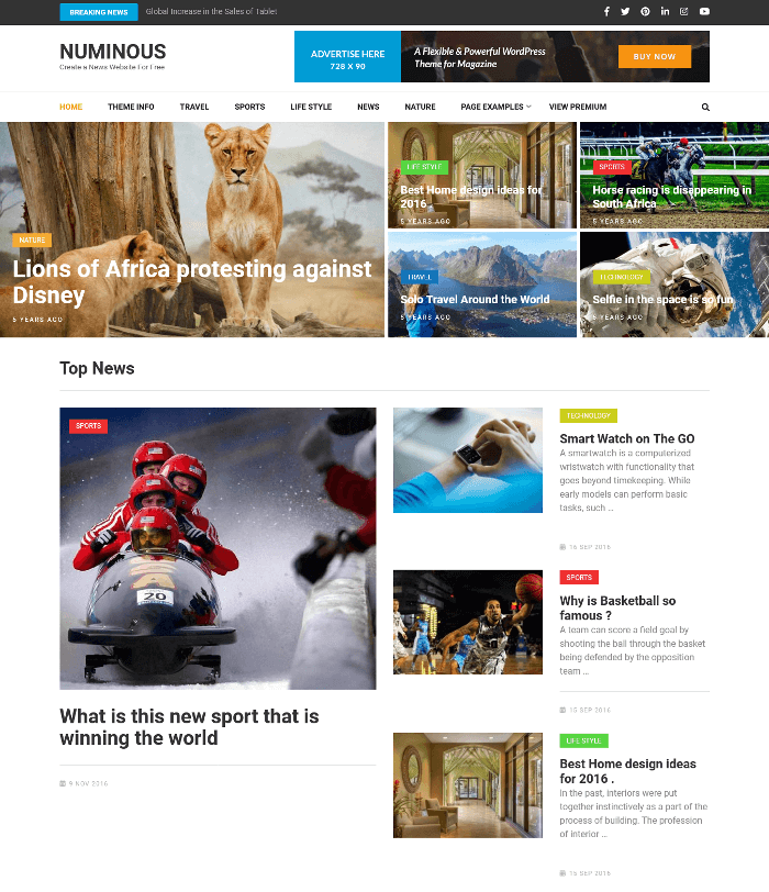 ธีม WordPress มากมาย