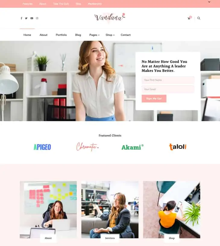 Vandana Lite WordPress Theme