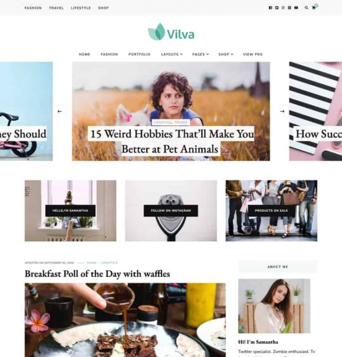 Blossom Vilva WordPress Theme