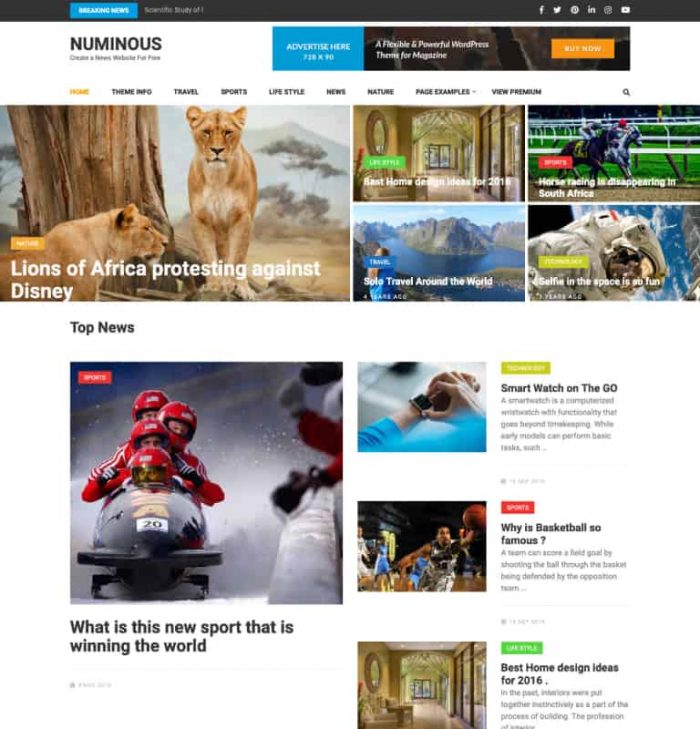 Numinous Kostenloses WordPress-Theme