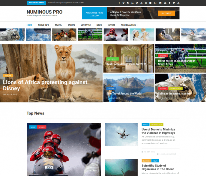 Numinous Pro tema de wordpress