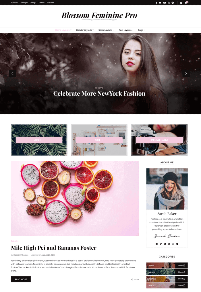 Blossom Femenino Pro WordPress Noticias