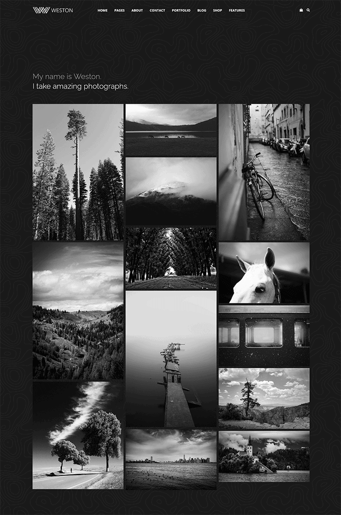 Tema de WordPress para fotografía de Weston