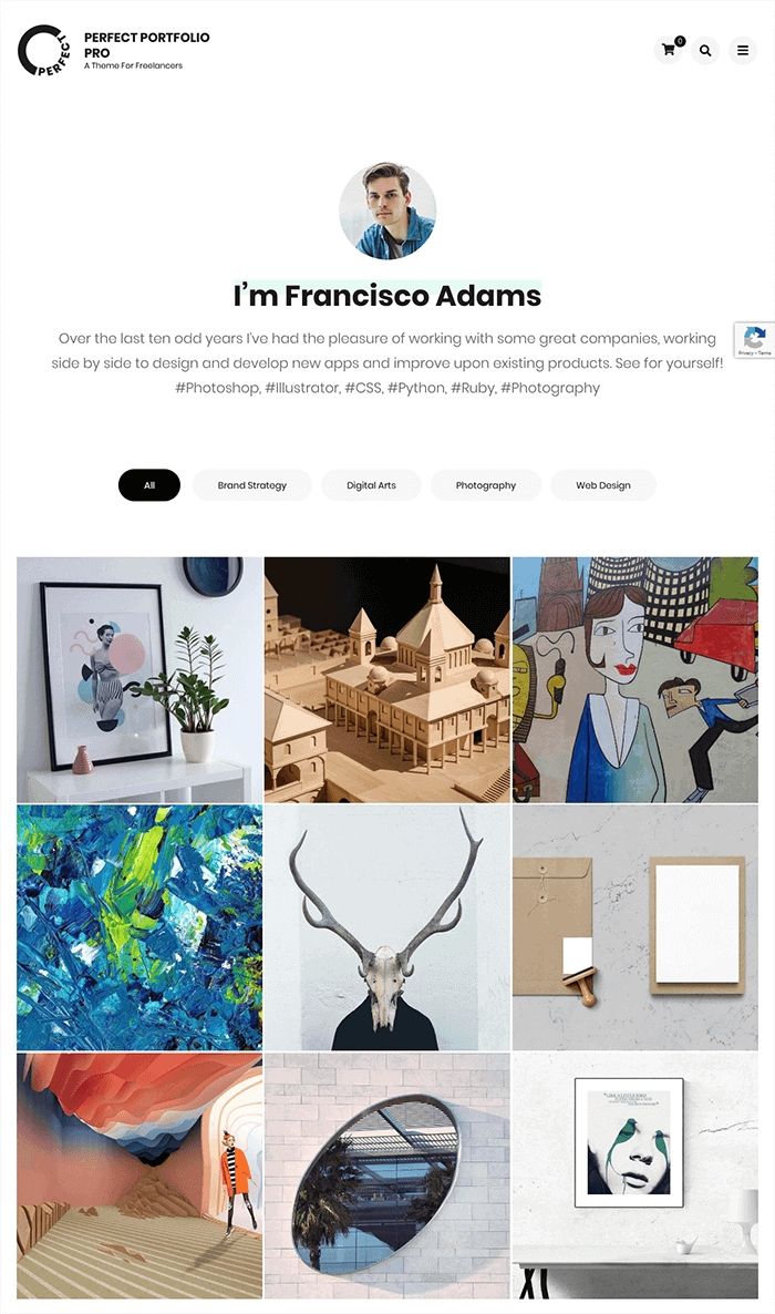 Perfect Portfolio Pro Tema de WordPress