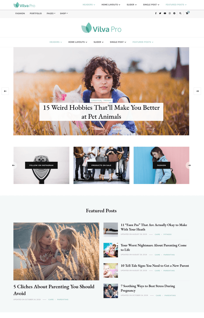 Tema de WordPress Pro de Vilva