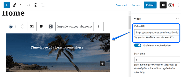 Insertar la URL del video de YouTube en el cuadro de texto proporcionado por Fondos avanzados de WordPress