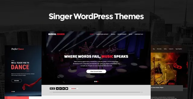 Teme Singer WordPress