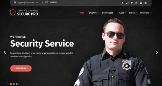sicheres Sicherheits-WordPress-Theme