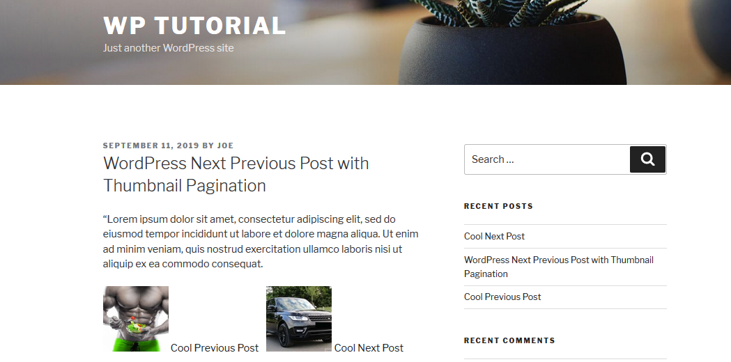 如何使用缩略图分页创建 WordPress Next Previous Post