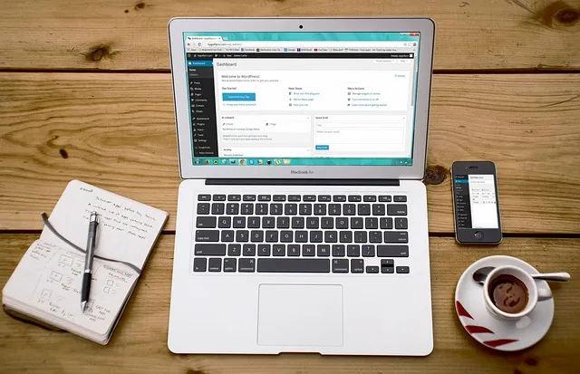 butuh tema wordpress