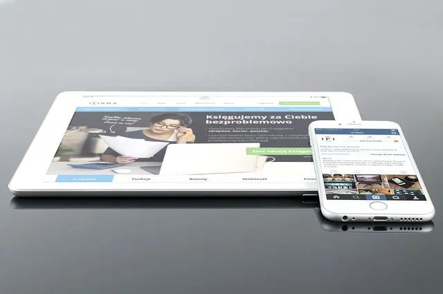 tema wordpress responsif