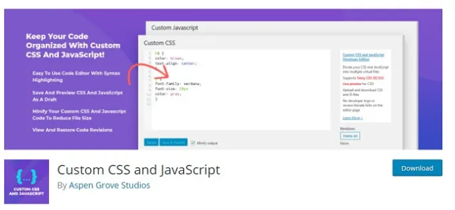 Özel CSS ve JavaScrippt