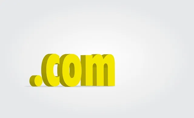 Nama domain