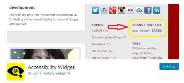 Widget Aksesibilitas
