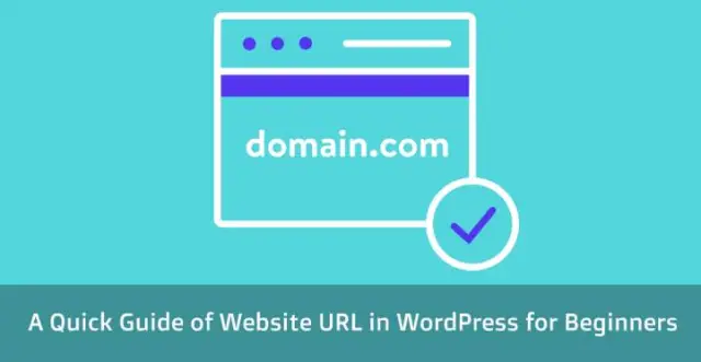 WordPress 中的網站 URL
