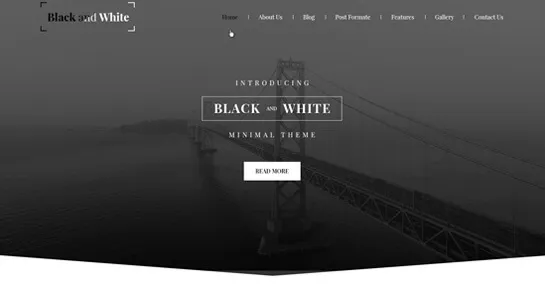 黑色和白色 WordPress 主題
