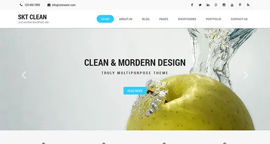 limpar tema WordPress